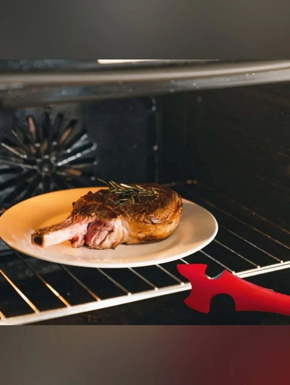 HIC Kitchen Silicone Oven Rack Push Pull Tool Red Toaster Oven Grill Rack Lifter